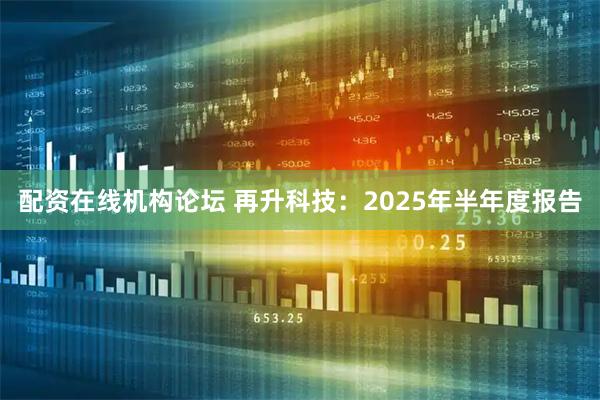 配资在线机构论坛 再升科技：2025年半年度报告