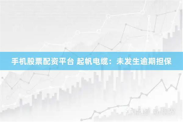 手机股票配资平台 起帆电缆：未发生逾期担保