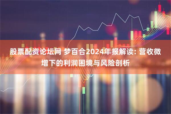 股票配资论坛网 梦百合2024年报解读: 营收微增下的利润困境与风险剖析